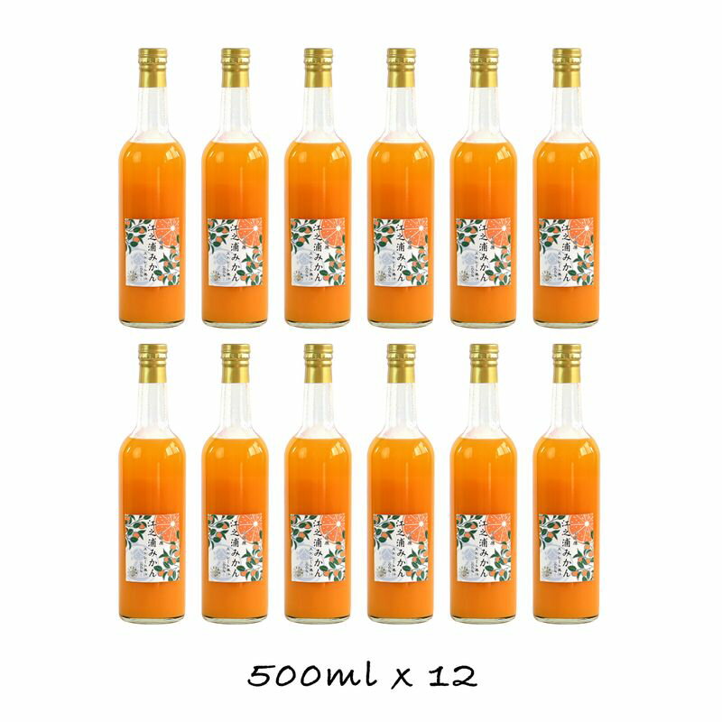 【ふるさと納税】小田原産江之浦みかん100％ストレートジュース500ml12本【 みかんジュース 神奈川県 小田原市 】