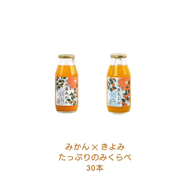 11位! 口コミ数「0件」評価「0」みかんジュースのみくらべセット 小田原産江之浦うんしゅうみかん＆きよみ100％ストレートジュース180ml各15本合計30本セット【 みかん･･･ 