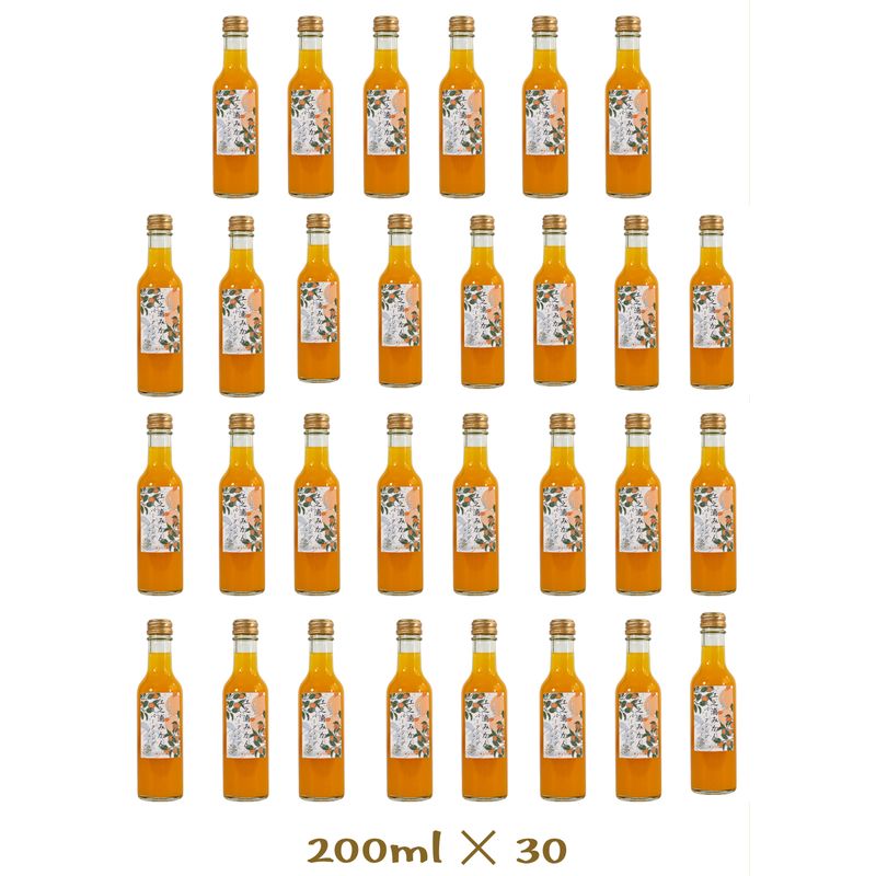 小田原産江之浦みかんスパークリングジュース果汁50%200ml30本[ みかんジュース スパークリングジュース 神奈川県 小田原市 ]