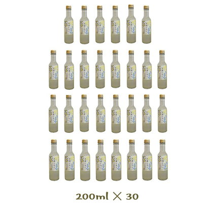 小田原産片浦レモンスパークリングジュース果汁10％200ml30本【レモンジュース スパークリングジュース 神奈川県 小田原市 】