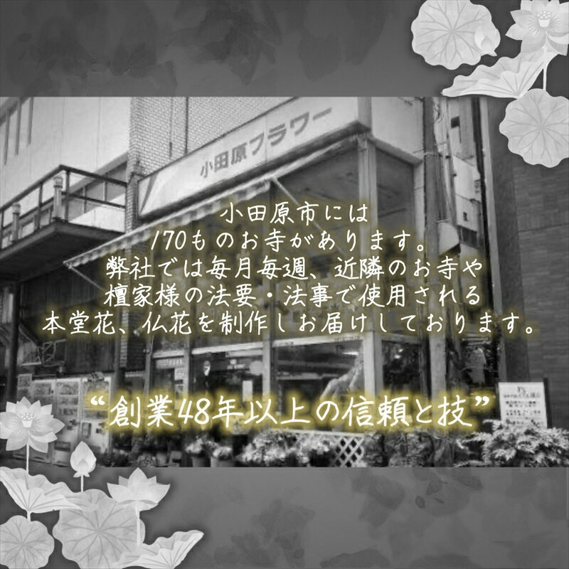 【ふるさと納税】【“48年以上の信頼と技”詳しくは画像をお読みください】選べるお供え・お悔やみ・法要【 花 お花 神奈川県 小田原市 】