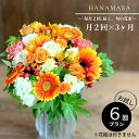 【ふるさと納税】【定期便 全6回・毎月2回】「毎月2回」届く、旬の花束【 神奈川県 小田原市 】 | お花の定期便 花 お花 定期便 花束 ギフト 神奈川県 小...