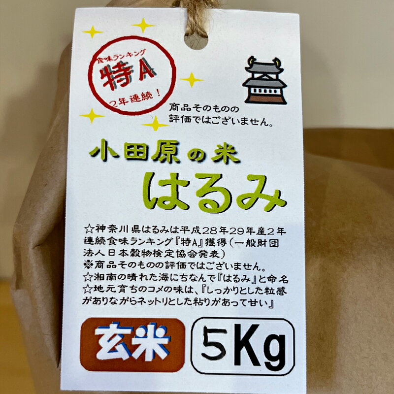 【ふるさと納税】【定期便 3ヶ月】志村屋米穀店 令和5年産新米小田原市産　はるみ(玄米) 　新米　5kg　＜出荷時期：10月中旬より順次出荷開始＞【玄米 はるみ 特A 贈答用 ご家庭で 贈り物 クラフト袋入り 神奈川県 小田原市 】