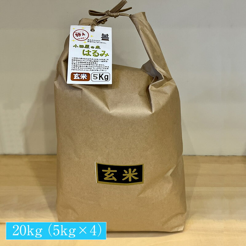 【ふるさと納税】 志村屋米穀店 令和5年産新米小田原市産　はるみ(玄米) 　20kg（5kgx4）＜出荷時期：10月中旬より順次出荷開始＞【玄米 はるみ 特A 贈答用 ご家庭で 贈り物 クラフト袋入り 神奈川県 小田原市 】