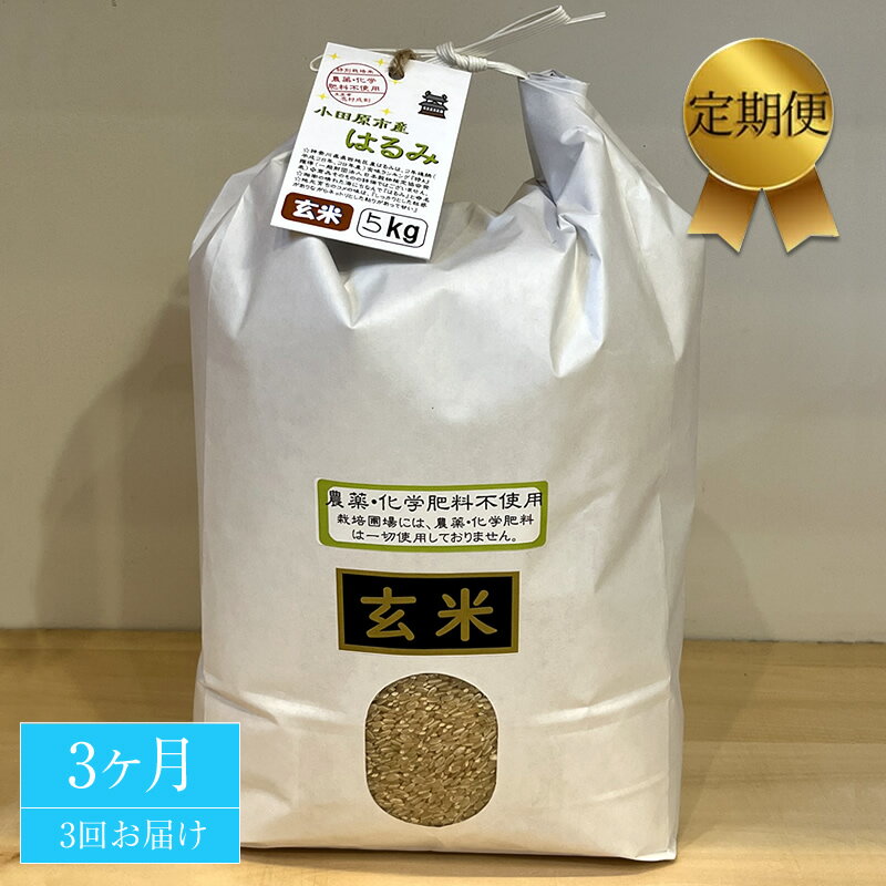 【ふるさと納税】【定期便 3ヶ月】 志村屋米穀店令和6年産新米小田原市産 農薬・化学肥料不使用はるみ(玄米) 新米 5kg＜出荷時期：10月中旬より順次出荷開始＞【 玄米 はるみ 特A 贈答用 ご家庭で 贈り物 クラフト袋入り 神奈川県 小田原市 】