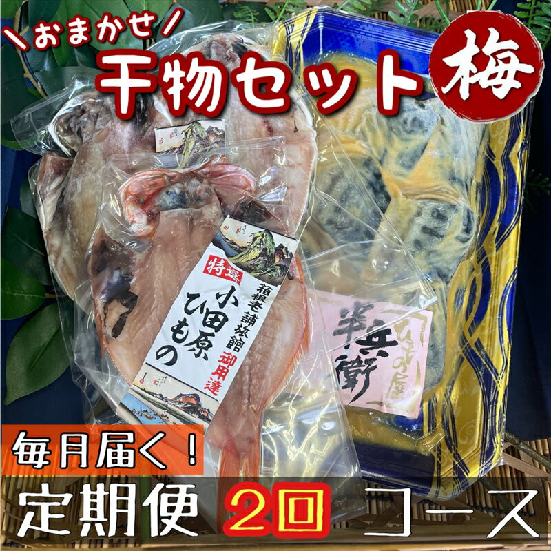 【ふるさと納税】【毎月定期便2回】厳選!小田原の旬の干物セット 梅【 まぐろや 神奈川県小田原市 】
