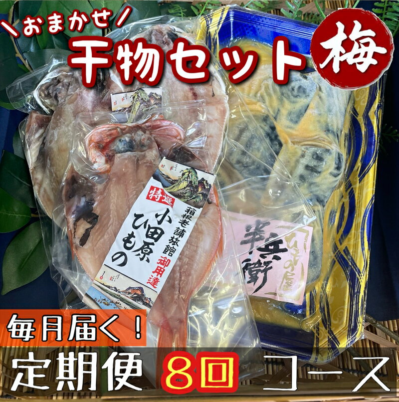 【ふるさと納税】【毎月定期便8回】厳選!小田原の旬の干物セット 梅【 まぐろや 神奈川県小田原市 】
