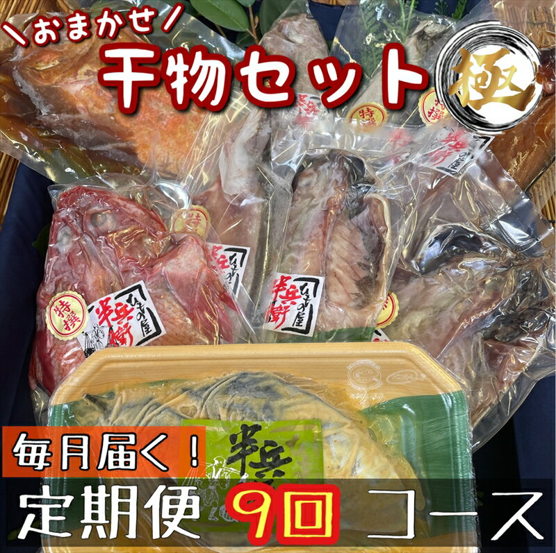 【ふるさと納税】【毎月定期便9回】厳選!小田原の旬の干物セット 極【 まぐろや 神奈川県小田原市 】