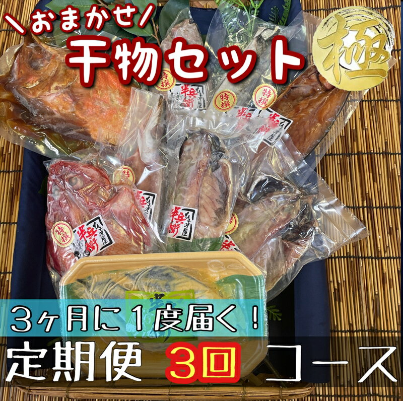 【ふるさと納税】【3ヶ月に1回定期便3回】厳選!小田原の旬の干物セット 極【 まぐろや 神奈川県小田原市 】