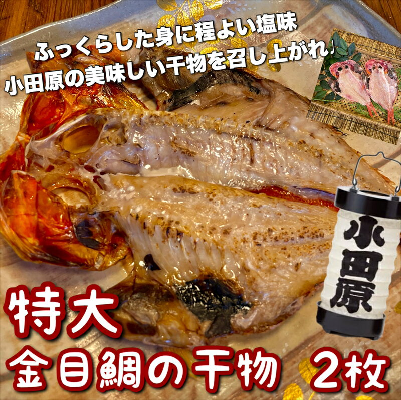 ڤդ뤵ǼǡĶδʪ 2  ĸ 