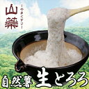 【ふるさと納税】自然薯の味をお楽しみください。自然薯生とろろ100g×10pセット【とろろ 極上とろろ 山芋 お家用 家庭用 国産 セット商品 自然薯 神奈川県...