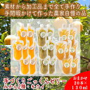 【ふるさと納税】スイスで加工品を学んだ農家が作った『手づくりごっくんゼリー』 おまかせ20本セット 130ml みかん 甘夏 キウイ【 家庭用 自宅用 贈答品 贈答用 ギフト お取り寄せ お中元 お歳暮 贈り物 お祝い 神奈川県 小田原市 】