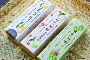 【ふるさと納税】【さっぱりとした現代感覚のフルーツ生ようかんセット】(片浦レモン、小田原キウイ、ジンジャー入り小田原梅 各1本)創業昭和10年 小田原 伊勢屋【 和菓子店 ようかん 神奈川県指定銘菓 神奈川県 小田原市 】