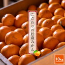 【ふるさと納税】<品種厳選>こだわりの貯蔵みかん 10キロ<2025年12月20日出荷開始〜2026年2月28日出荷終了>【 みかん 神奈川県 小田原市 】