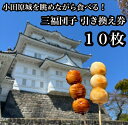 【ふるさと納税】小田原城を眺めながら食べるお団子 三福団子引換券 10本分 くるみ味噌 みたらし団子【 引換券 神奈川県 小田原市 】