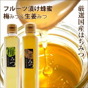 【ふるさと納税】フルーツ漬け蜂蜜2本セット(梅みつ&生姜みつ)【はちみつ ハチミツ 蜂蜜 家庭用 自宅用 贈答品 贈答用 ギフト お取り寄せ 御中元 お中元 お...