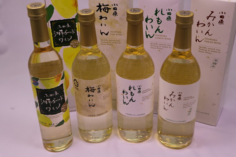 【ふるさと納税】城下町小田原の飲み比べわいんDセット（4本セット)【小田原の飲み比べわいんDセット 飲み比べ お酒 みかんわいん 梅わいん 小田原産みかん 小田原産梅 高品質の十郎梅 小田原特産品使用 さわやかなお酒 神奈川県 小田原市 】