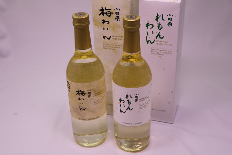 【ふるさと納税】城下町小田原の飲み比べわいんAセット(2本セット)【小田原の飲み比べわいんAセット 飲み比べ お酒 れもんわいん 梅わいん 小田原産レモン 小田原産梅 十郎梅 高品質の十郎梅 小田原特産品使用 神奈川県 小田原市 】