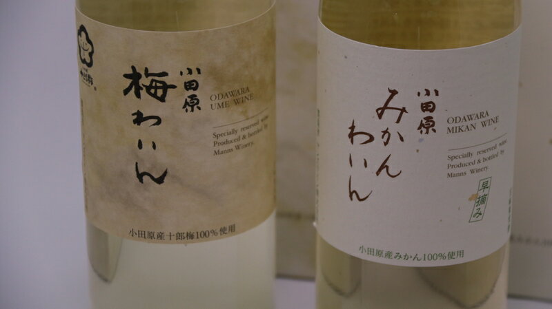 4位! 口コミ数「1件」評価「4」城下町小田原の飲み比べわいんBセット（2本セット)【小田原の飲み比べわいんBセット 飲み比べ お酒 みかんわいん 梅わいん 小田原産みかん ･･･ 