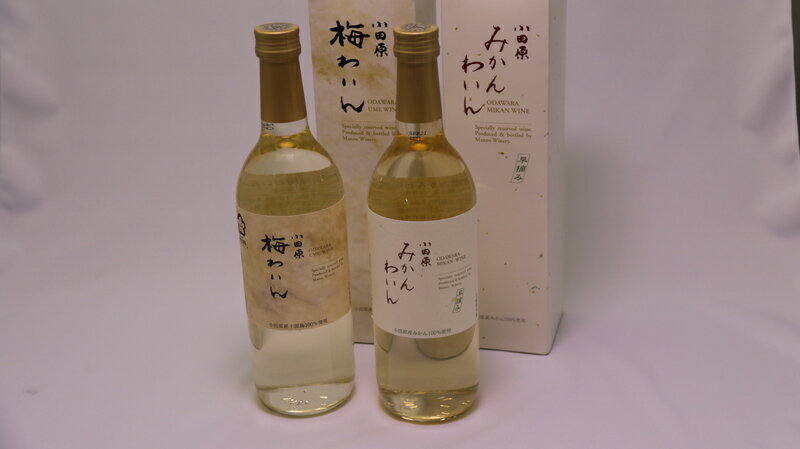 【ふるさと納税】城下町小田原の飲み比べわいんBセット（2本セット)【小田原の飲み比べわいんBセット 飲み比べ お酒 みかんわいん 梅わいん 小田原産みかん 小田原産梅 十郎梅 高品質の十郎梅 小田原特産品使用 神奈川県 小田原市 】