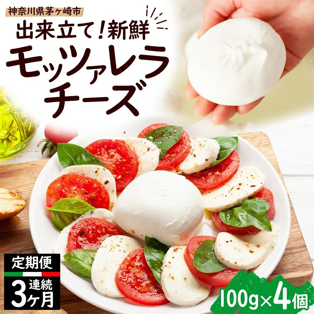 [3ヶ月定期便][出来立て新鮮]モッツァレラチーズ100g×4個セット [定期便・加工食品・乳製品・チーズ] お届け:準備が出来次第順次発送(お申込日の翌月 から3ヶ月連続のお届けとなります。 )