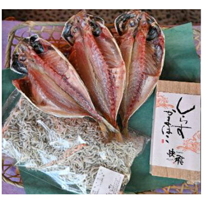 茅ヶ崎しらす・かまぼこセット　【しらす・かまぼこ・練り製品・魚貝類・干物・アジ】