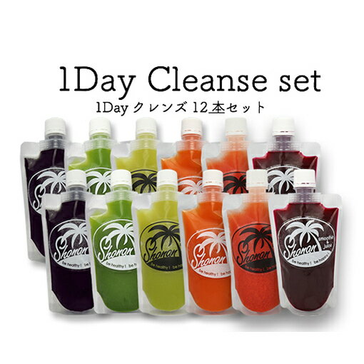 冷凍コールドプレスジュース 1DAYクレンズ 12本セット　【 飲料類 野菜飲料 ジュース 】