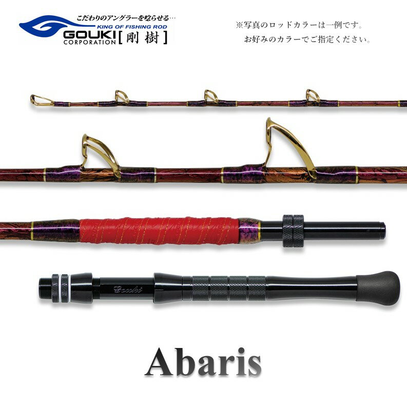 【ふるさと納税】剛樹 アバリス235 （ABARIS 235SS） 235cm ウェイト負荷100-300号 釣り 釣具 釣竿 ロッド　【 釣り用品 釣り竿 海釣り 】