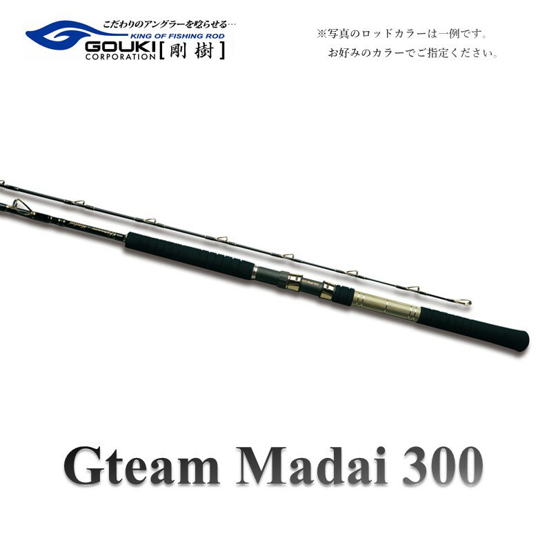 【ふるさと納税】剛樹 Gチーム マダイ 300 （GM300） 300cm ウェイト負荷50-80号 釣り 釣具 釣竿 ロッ...