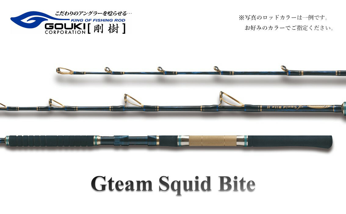 【ふるさと納税】剛樹 Gチーム スクイッドバイト （GSQBT1.6XH） 160cm ウェイト負荷100-160号 釣り 釣具 釣竿 ロッド　【 釣り用品 釣り竿 海釣り いか 烏賊 】