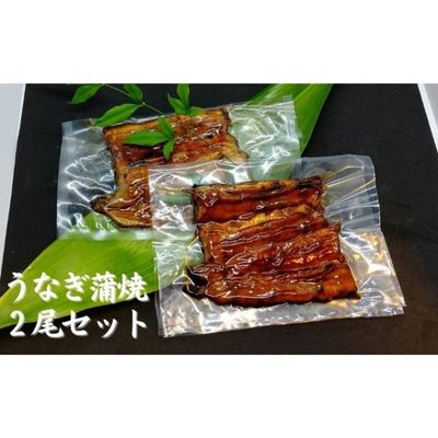 【三河産 鰻】うなぎ蒲焼セット2尾（活魚1本200g×2）　【 うなぎ 鰻 国産活うなぎ 脂 安心安全 特別な日 ふっくらとした身 】