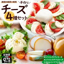 【ふるさと納税】【 9ヶ月定期便】チーズ 4種 詰め合わせ 各1個 Osteria e Bottega S モッツァレラチーズ ブラッターチーズ スカモルツァアフミカータ 神奈川県 茅ケ崎市 乳製品 牛乳 手作業 ミルク 銀賞 幻のチーズ スモーク 塩漬け 美味しい おつまみ ピザ