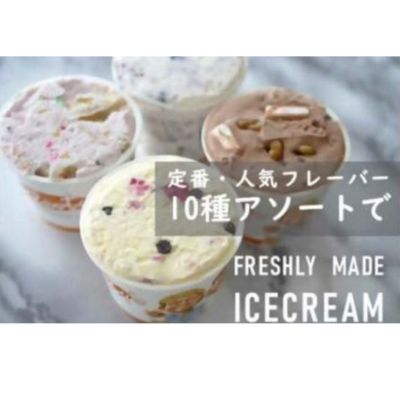 【ふるさと納税】湘南茅ヶ崎の人気店 プレンティーズのアイスクリーム（バラエティセット10個）　【 お菓子 スイーツ ひんやり デザート 夏 おしゃれ かわいい 食べ比べ 夏ギフト 贈り物 】