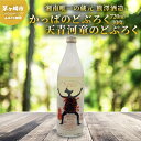 【ふるさと納税】【湘南唯一の蔵元】熊澤酒造 かっぱのどぶろく 720ml 10度 天青河童のどぶろく※2024年5月以降に順次配送　【 お酒 蔵元 アルコール こだわり 日本酒 井戸 汲み上げ 酵母 酸味 】