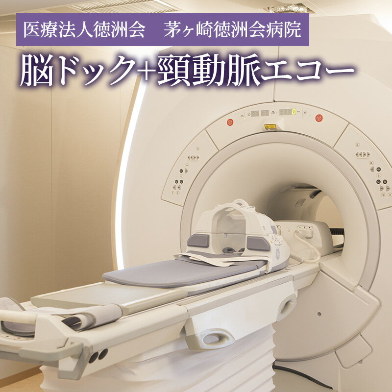 【ふるさと納税】脳ドック+頸動脈エコー　 チケット 体験チケット 検査のみ 脳血管疾患 検査 健康チェック