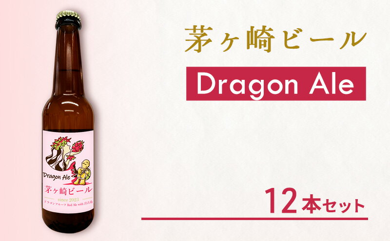 【ふるさと納税】茅ヶ崎ビール (Dragon Ale) 12本セット　【お酒　ビール　クラフトビール　瓶入り　化粧箱入り】　【 地ビール 瓶ビール アルコール飲料 家飲み 晩酌 バーベキュー BBQ 】