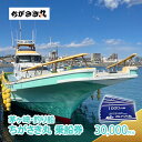 【ふるさと納税】茅ヶ崎・釣り船 ちがさき丸乗船券30,000円分