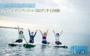 【ふるさと納税】【逗子海岸・エバーリゾート 】スタンドアップパドルボード（SUP）半日体験1名様　【体験チケット／マリンスポーツ】 2