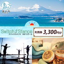 【ふるさと納税】利用券3,300円分 スイッチスタンスSUPスクール ふるさと納税限定 体験チケット 海 マリンスポーツ ベテランスタッフ チャレンジ 逗子海岸...