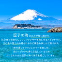 【ふるさと納税】【マリンボックス100】”日本近代ヨット発祥の地”でYAMAHAヨットスクール1日体験　1名様　【体験チケット】 3