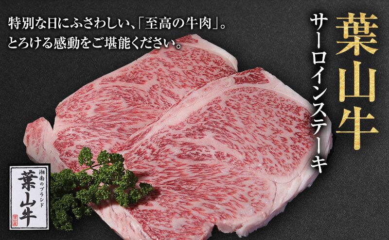 【ふるさと納税】ステーキ 冨士屋牛肉店がお届けする 葉山牛 サーロインステーキ 約250g × 2枚 和牛 サーロイン 牛肉　【 ステーキ肉 牛 肉 お肉 国産 】　お届け：発送可能時期より順次発送予定