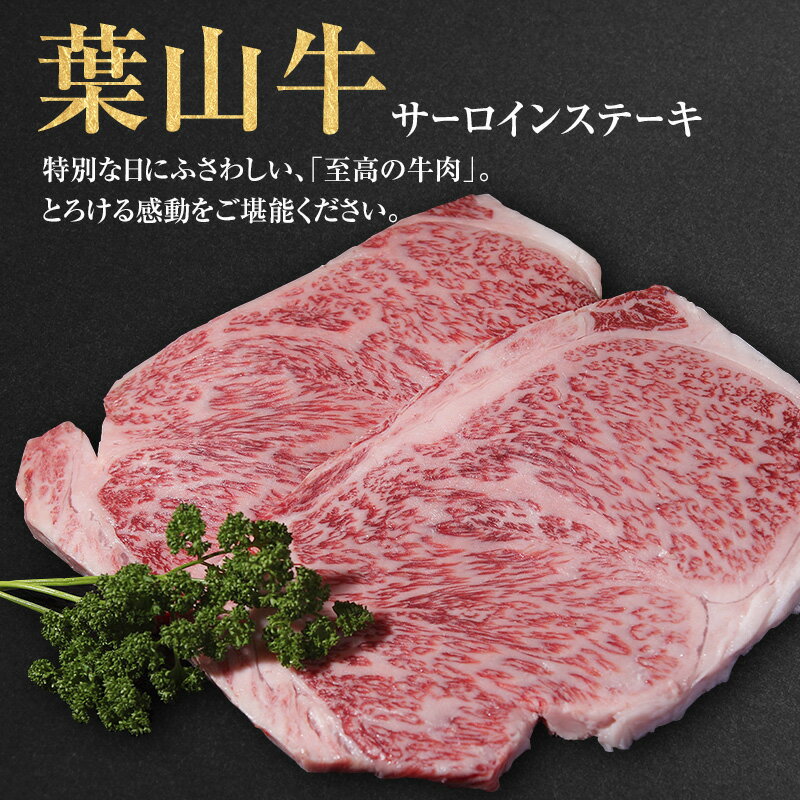 ステーキ 冨士屋牛肉店がお届けする 葉山牛 サーロインステーキ 約250g × 2枚 和牛 サーロイン 牛肉　【 ステーキ肉 牛 肉 お肉 国産 】　お届け：発送可能時期より順次発送予定