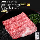 【ふるさと納税】牛肉 しゃぶしゃぶ 冨士屋牛肉店がお届けする 葉山牛 特上 ロース 霜降り肉 500g 牛 和牛 肉 お肉 サーロイン リブロ..