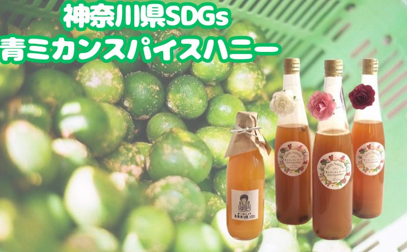 【ふるさと納税】神奈川県SDGs 青ミカンスパイスハニー　ワインと割ってお手軽爽やかなサングリア【逗子市・平塚市　共通返礼品】　【 果汁飲料 野菜飲料 みかんジュース 飲料類 セット ジュース 】