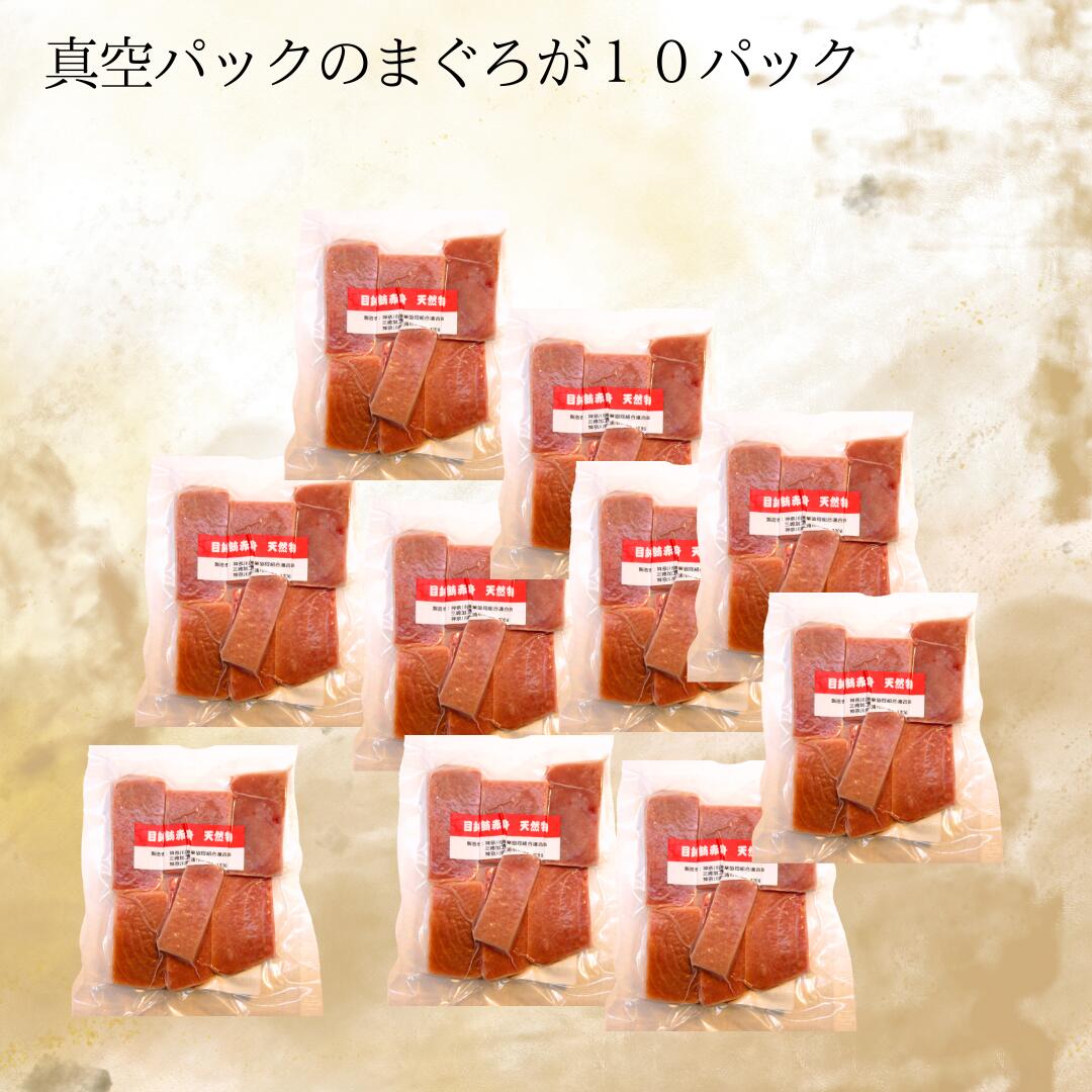 【ふるさと納税】A16-004 【小分けパックで使いやすい】切れてる天然マグロ100g×10P【神奈川県漁連】