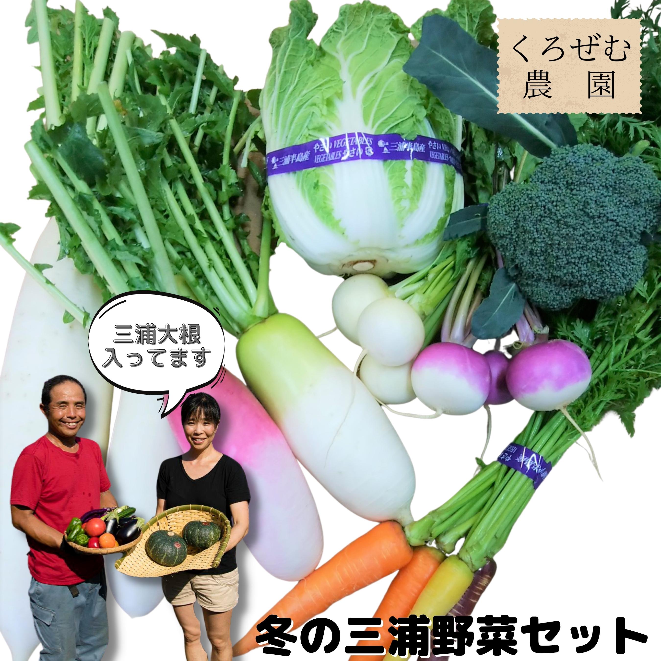 【ふるさと納税】A13-004三浦の豊（みのり）！季節の野菜詰め合わせ（冬）