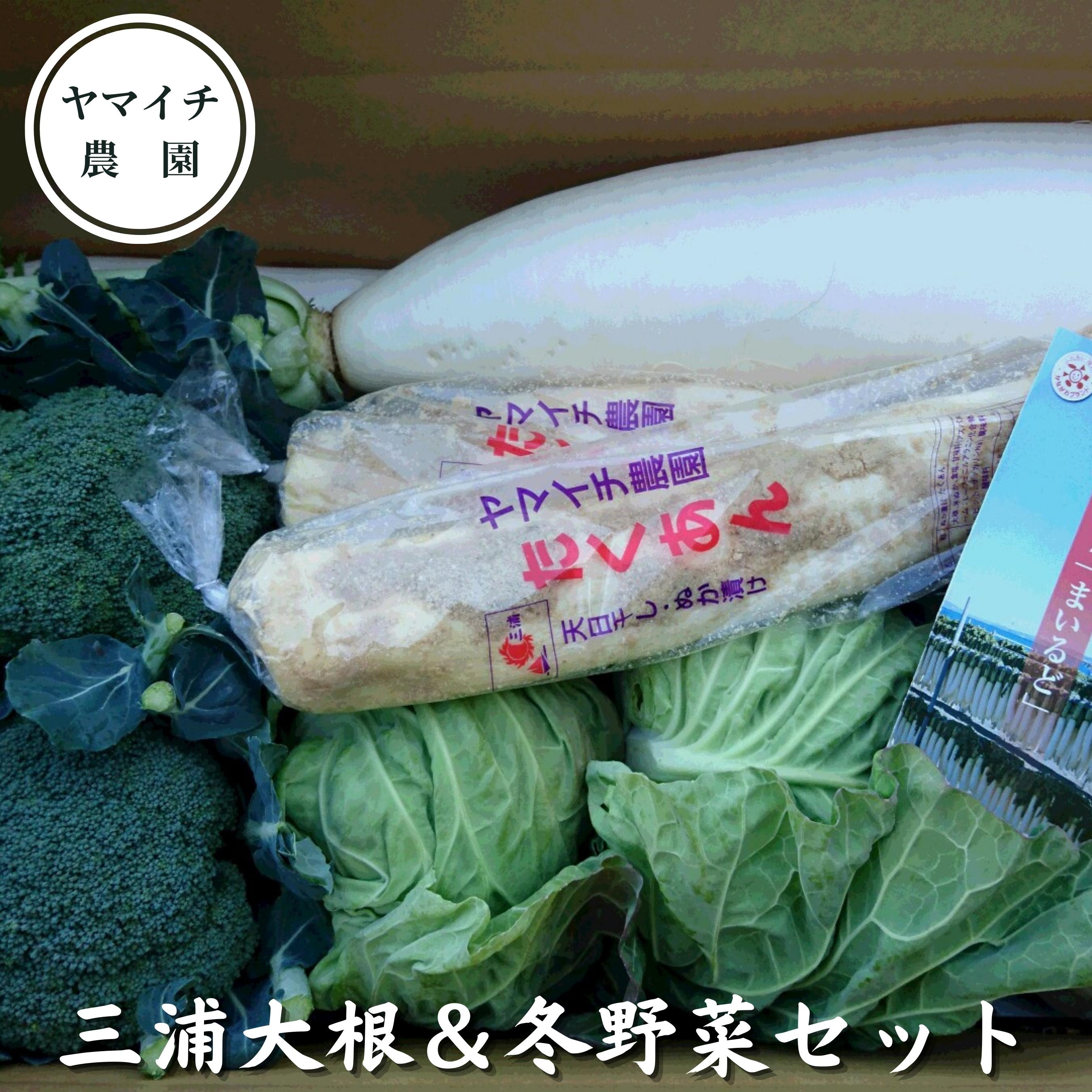 【ふるさと納税】B17-002【三浦農家直送】三浦大根と冬野菜セット　※ご入金締切1月15日