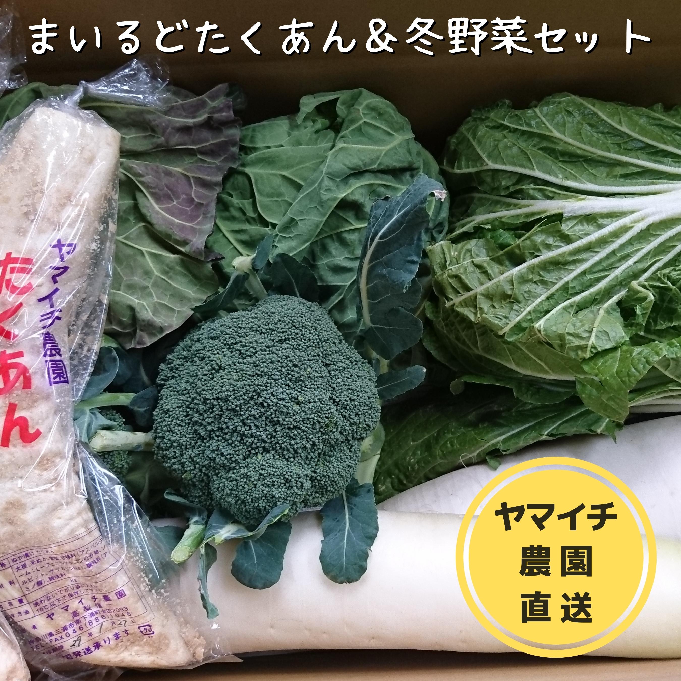 【三浦農家直送】まいるどたくあんと冬野菜セット　※ご入金締切1月15日まで