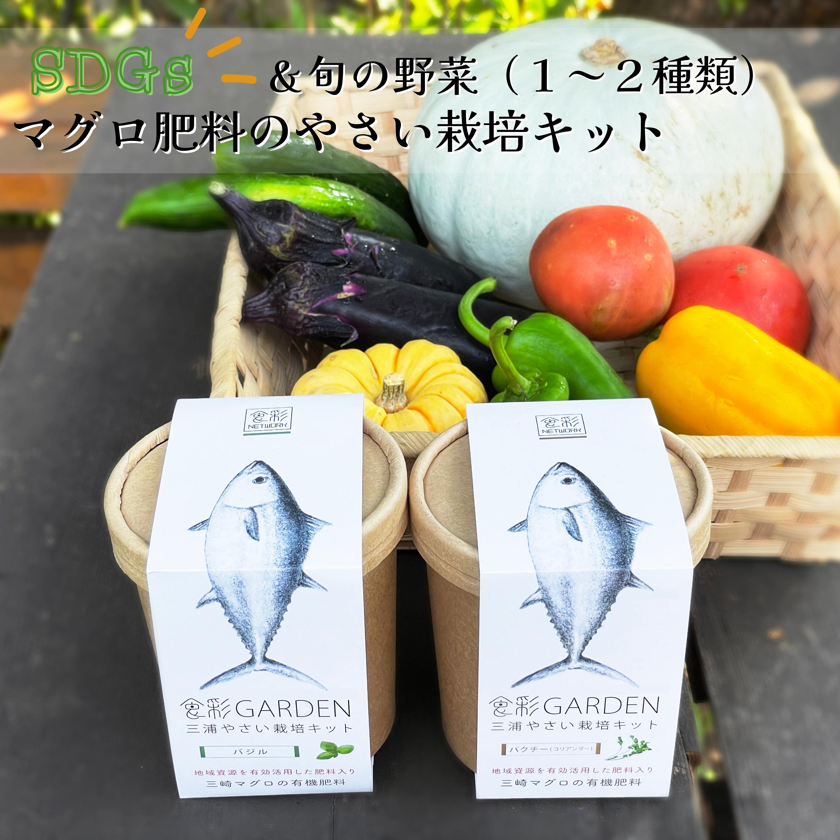 2位! 口コミ数「0件」評価「0」A13-023食彩GARDEN三浦やさい栽培キット＆旬野菜