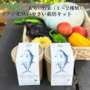 4位! 口コミ数「0件」評価「0」A13-023食彩GARDEN三浦やさい栽培キット＆旬野菜